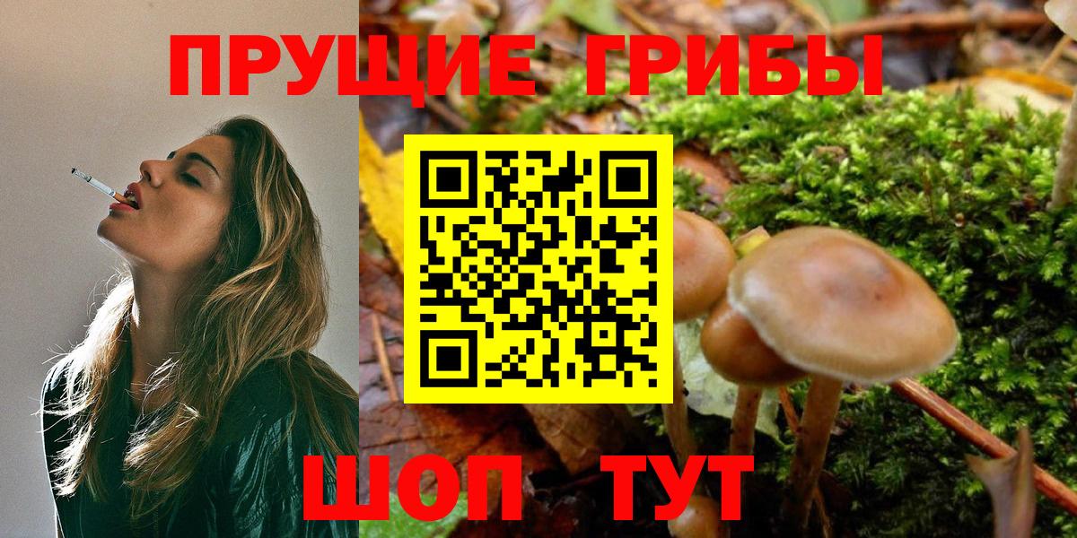 Псилоцибиновые грибы GOLDEN TEACHER Мирный