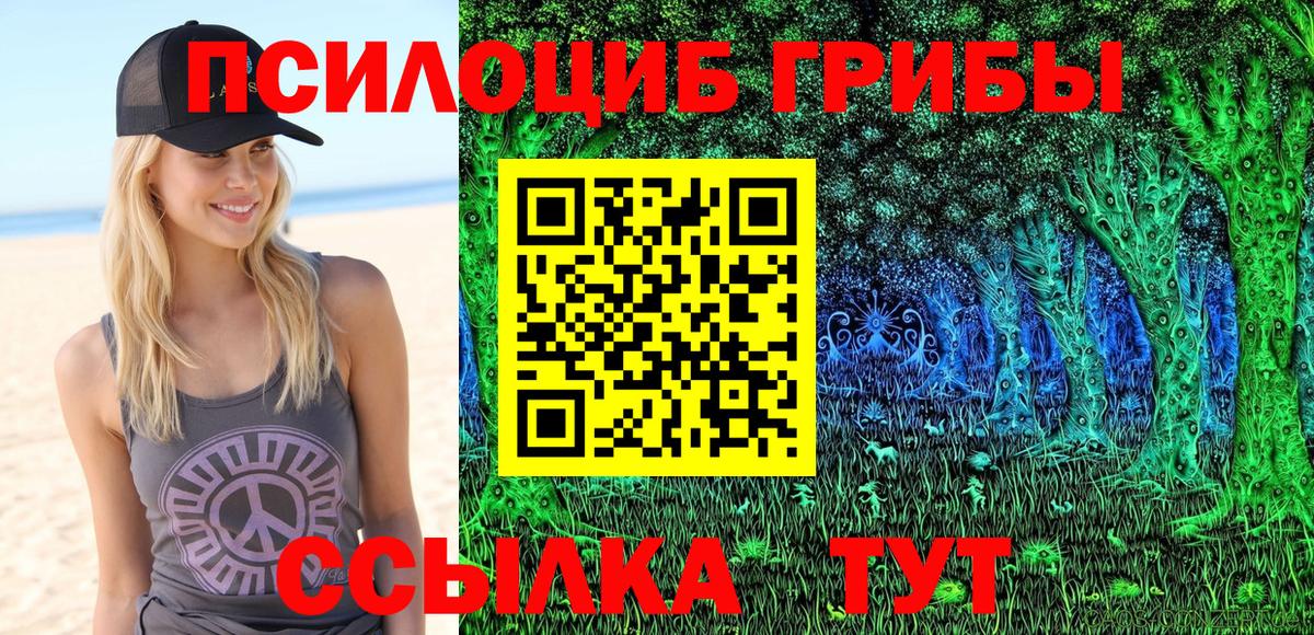 Псилоцибиновые грибы прущие грибы  Вход с VPN  Мирный 